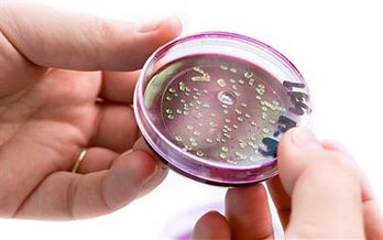 Bacterias na secreción da próstata